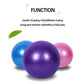 PVC Glossy Fitness Balls